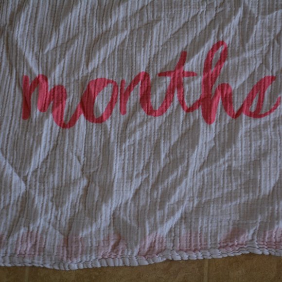 Cloud Island Pink Baby Monthly Milestones Photography Backdrop Muslin Blanket - Picture 5 of 7